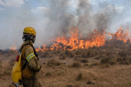 Bomberos-incendios-Ctes-20201.jpg