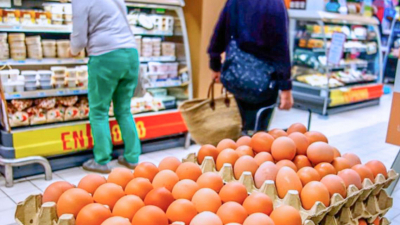 El maple de 30 huevos de 250 pesos en diciembre subió a 500 en febrero