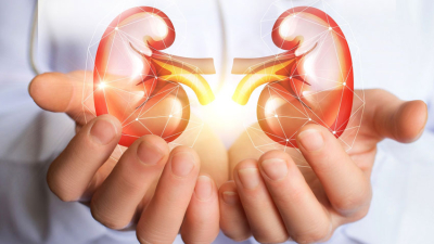 Múltiples actividades para generar conciencia sobre la salud renal