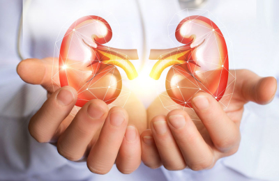 Múltiples actividades para generar conciencia sobre la salud renal