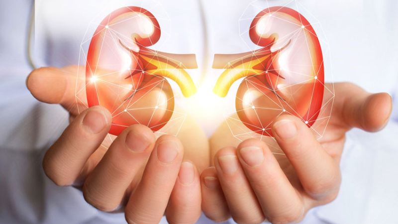 Múltiples actividades para generar conciencia sobre la salud renal