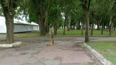 Hallaron muerto al militar que torturó y asesinó a un perro en Olavarría