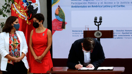 boric escazu 2.jpg