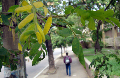 El otoño llegó con calor pero con temperaturas en descenso