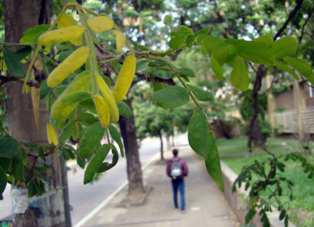 otoño004.jpg