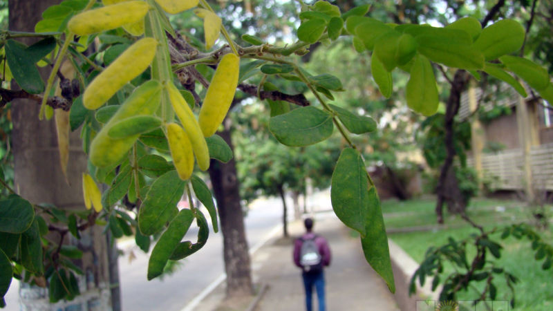 Llega el otoño de la mano de un frente frío