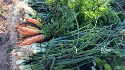 Los consumidores esperan la producción local