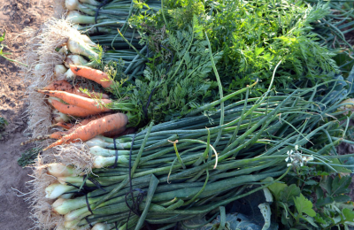 Los consumidores esperan la producción local