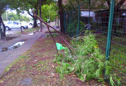 tormenta3.jpg