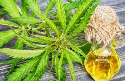 Chaco se suma a los autocultivadores de cannabis con fines medicinales