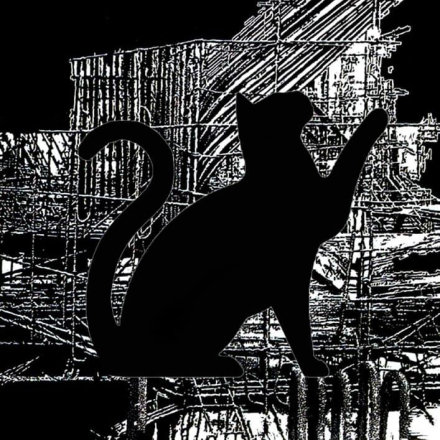 leo_con gatos mayo 2022c.jpg