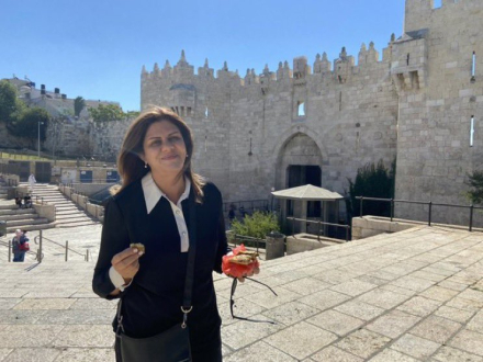 Sherin Abu Aqla2.jpg