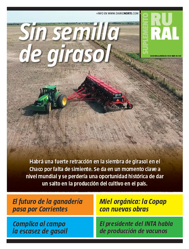 Sin semilla de girasol