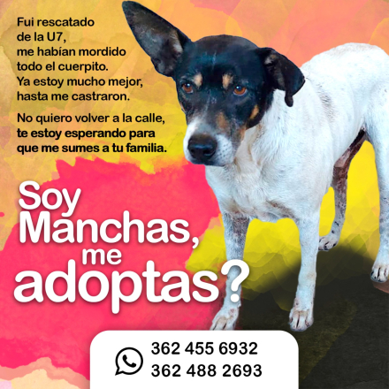 Manchita 2.jpg