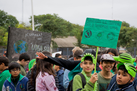pampaverde2.jpg