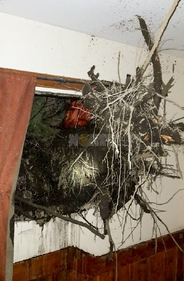 ventana.jpg
