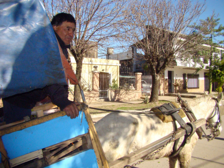 carrero2.jpg