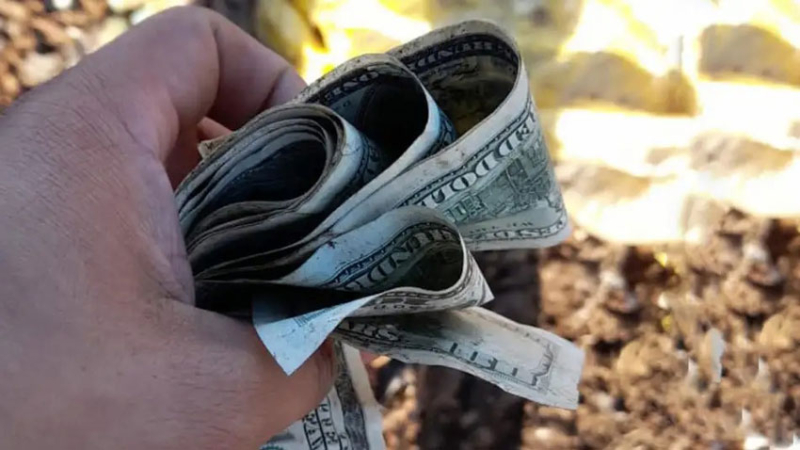 Empleados municipales encontraron más de 50 mil dólares en un basural