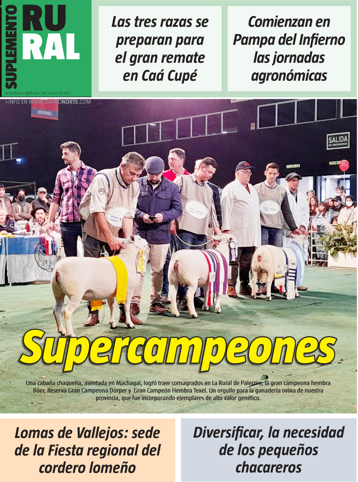 Supercampeones