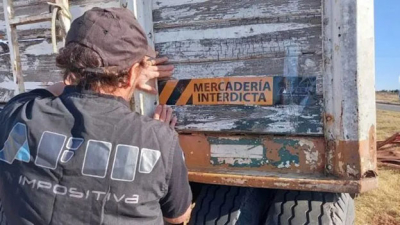 Incautan 7 mil toneladas de granos sin declarar