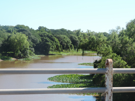 Isla del Cerrito-rio-puente.JPG