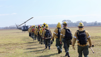 El presidente ordenó la actuación de las Fuerzas Armadas ante los incendios