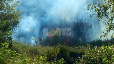 El fuego consumió, en lo que va de este año, 15.000 hectáreas en la provincia