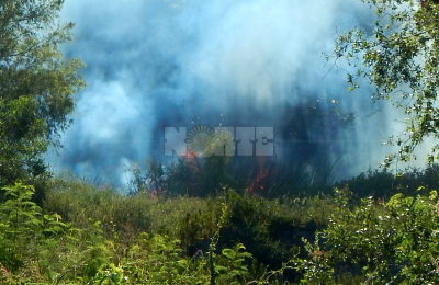 El fuego consumió, en lo que va de este año, 15.000 hectáreas en la provincia