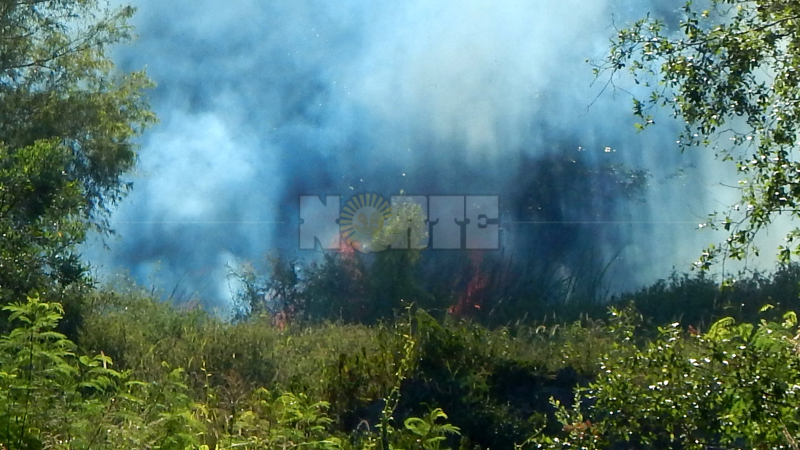 El fuego consumió, en lo que va de este año, 15.000 hectáreas en la provincia