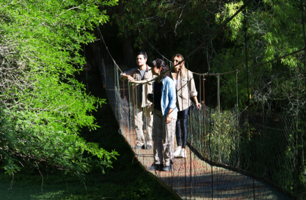 parque3.jpg