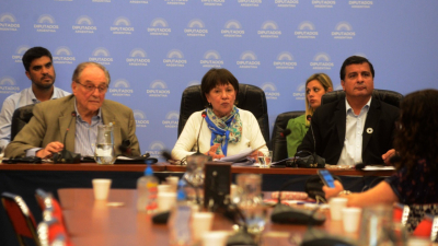 Avanza en Diputados la creación de las universidades nacionales del Delta, Saladillo y Pilar