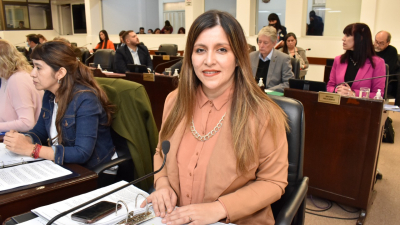 La presidenta de la comisión de Ambiente destacó el aporte desde el Chaco a la Cumbre Mundial C40