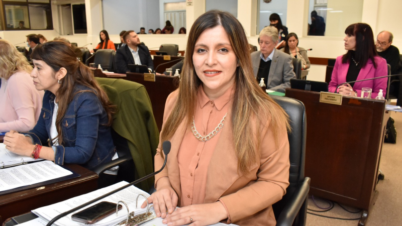 La presidenta de la comisión de Ambiente destacó el aporte desde el Chaco a la Cumbre Mundial C40