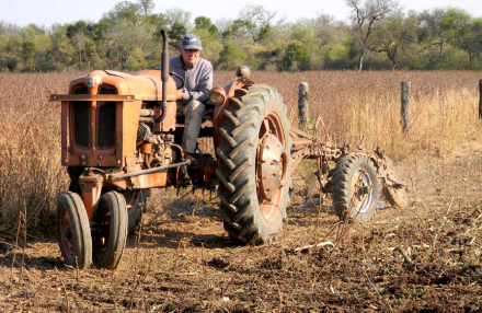 agricultor.jpg