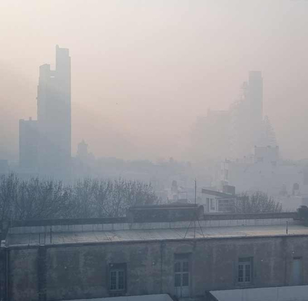 Rosario-Humo11.jpg
