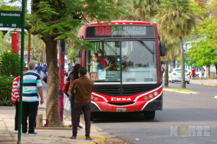 colectivo02.jpg