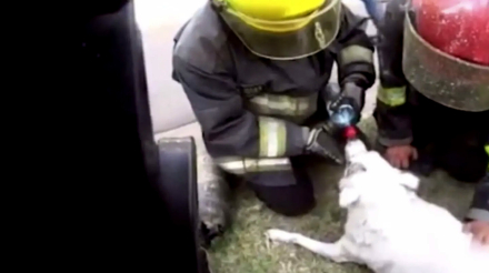 bomberos.jpg