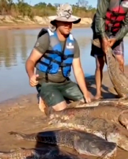 pescadores surubies 1.jpeg