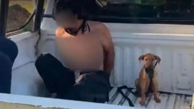 La Policía lo detuvo y su perro lo acompañó en el patrullero