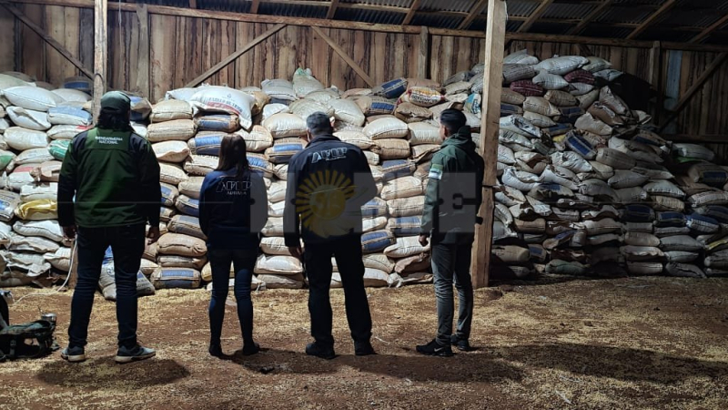 Golpe al contrabando de granos: incautan 300 toneladas de soja que iban a Paraguay