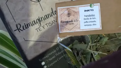 Graciela Ester Enríquez: reimaginando el té