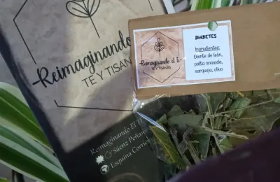 Graciela Ester Enríquez: reimaginando el té