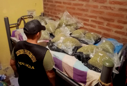 narco3.jpg