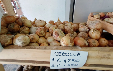 frutas4.jpg
