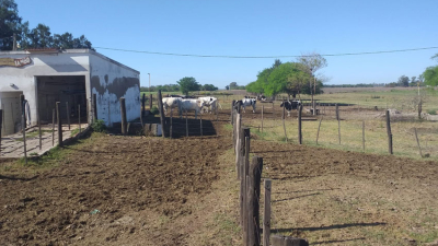 Trabajo conjunto entre la Uncaus y un colegio técnico dan sus primeros resultados
