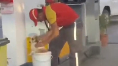 Ola de calor: un playero de una estación de servicio se apiadó de un perro y lo refrescó