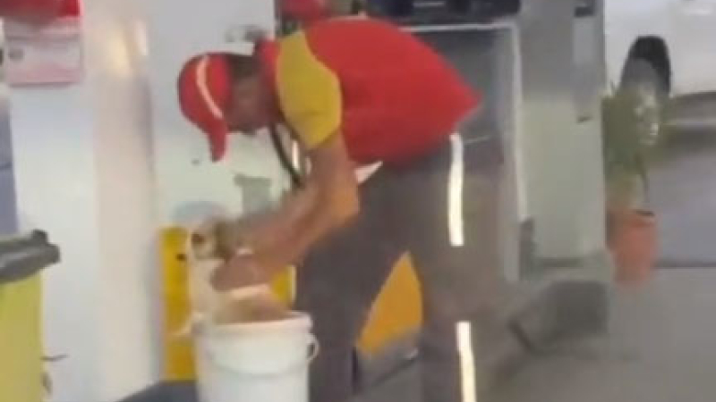 Ola de calor: un playero de una estación de servicio se apiadó de un perro y lo refrescó