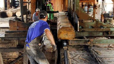 La industria maderera paralizada por falta de guías