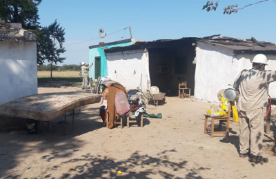 La presencia de vinchucas se redujo en las viviendas rurales