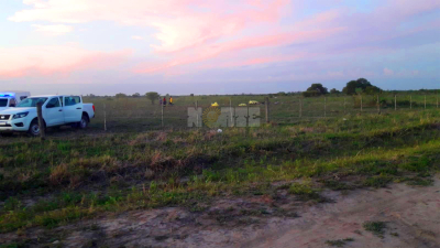 Cinco muertos tras el robo y caída de un avión Cessna 206 en Villa Ángela